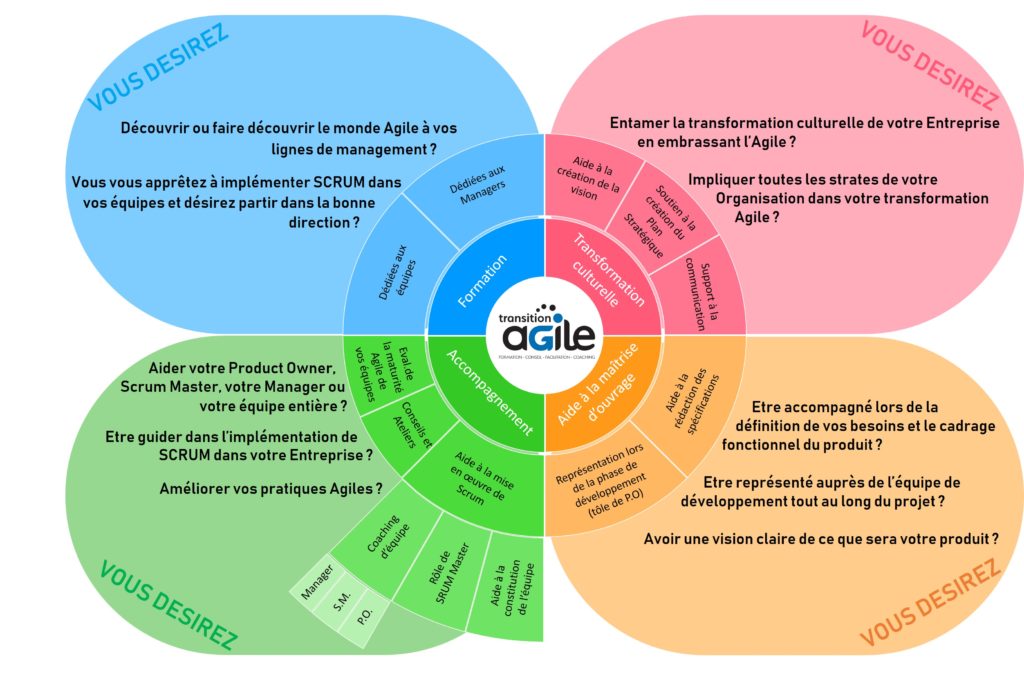 Visuel Offre de Transition Agile pour l'accompagnement dans une transformation culturelle Agile